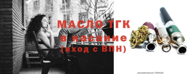 индика Наволоки