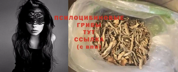 индика Наволоки