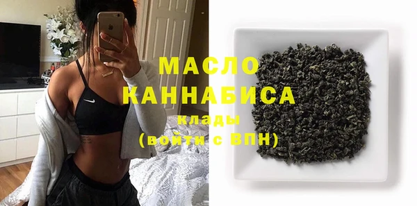 индика Наволоки