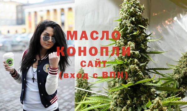индика Наволоки